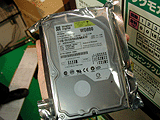 WD800JB