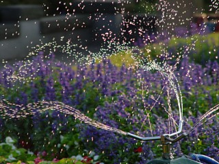 dsc00125