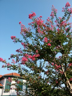 pict0020