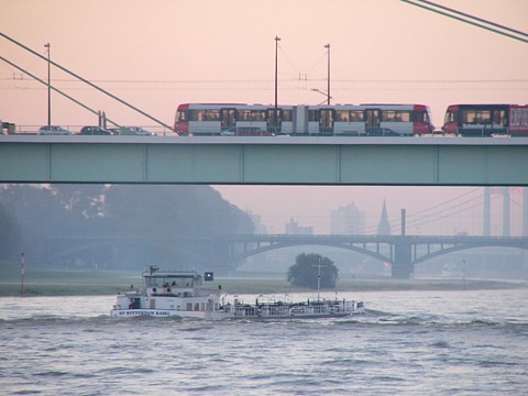 p1000102