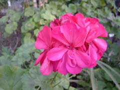 dsc00001