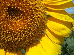 e510_dscf0080