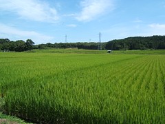 e510
