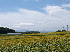 e550_dscf0119
