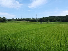 e550