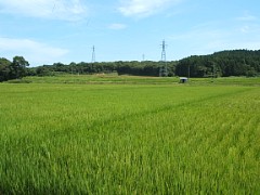 f440