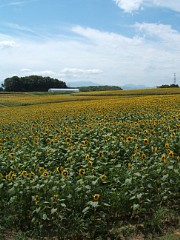 f450_dscf0240