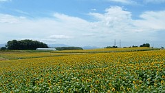 f710_dscf0305