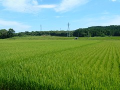f710