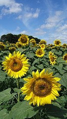 f810_dscf0080