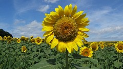 f810_dscf0084
