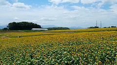 f810_dscf0131