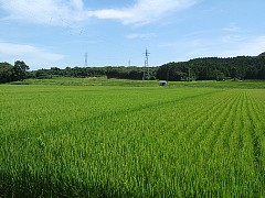 f810
