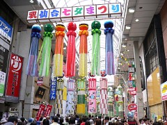 fx7_p1000230