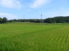 fx7