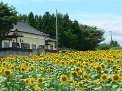 fz3_p1000281