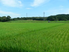 fz3