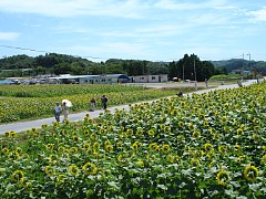 p150_dsc00147