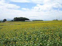 p150_dsc00166
