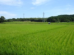 p150