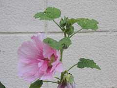 pict0127