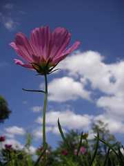 pict0135