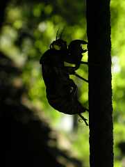 pict0156