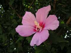 pict0183