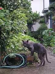 pict0272