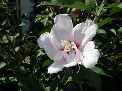 pict0287