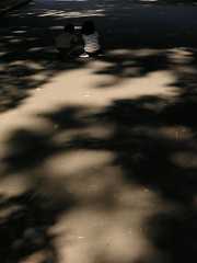 pict0380