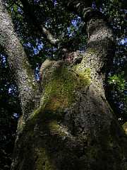 pict0386