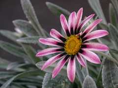 pict0480