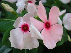 pict0484