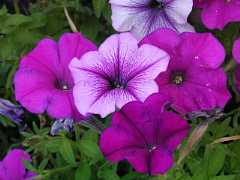 pict0498