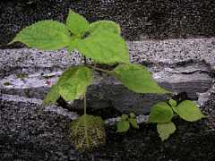 pict0522