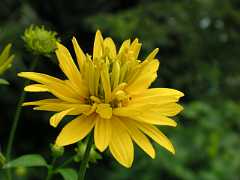 pict0544