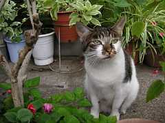 pict0637