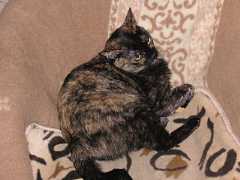 pict0661