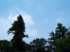 510_05f.jpg