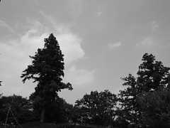 510_05m.jpg