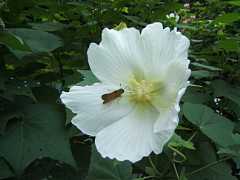 510_08b.jpg