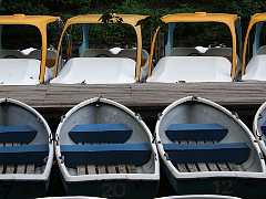 550_09a.jpg