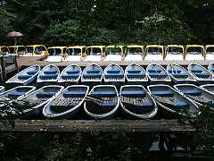 550_09b.jpg