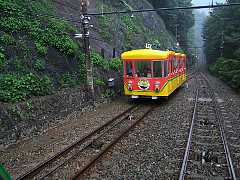 550_17a.jpg