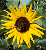 E510.jpg