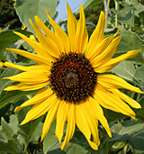 E8700.jpg