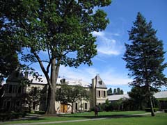 img_1552.jpg
