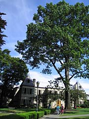 img_1554.jpg