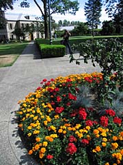 img_1555.jpg